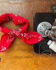 Bandana - Red - Lowercase Initials